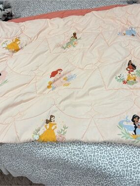 Disney Princesses Pillowfort comforter & sham, twin XL